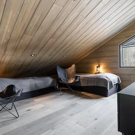 Hankielaemae B 列维