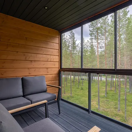 Hankielaemae B * 列维